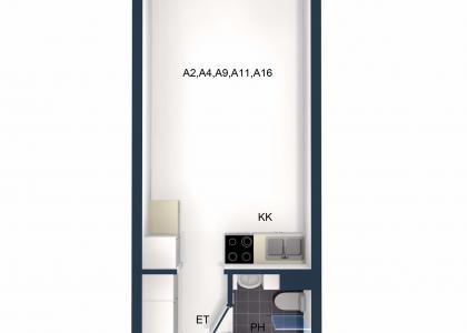 A2 A4 A9 A11 A3